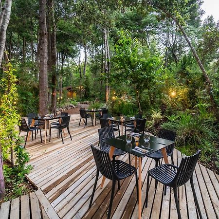 Rakau Lodge 푸콘 외부 사진